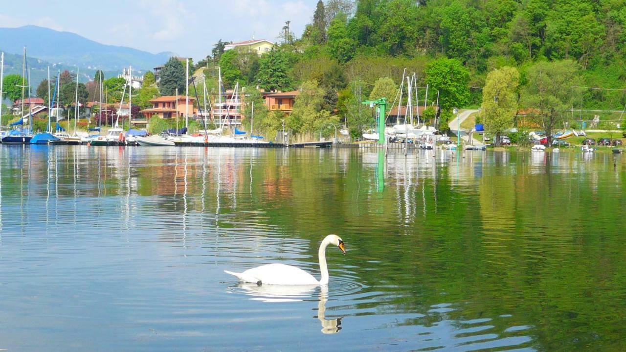 The Gulf - Maggiore Monvalle