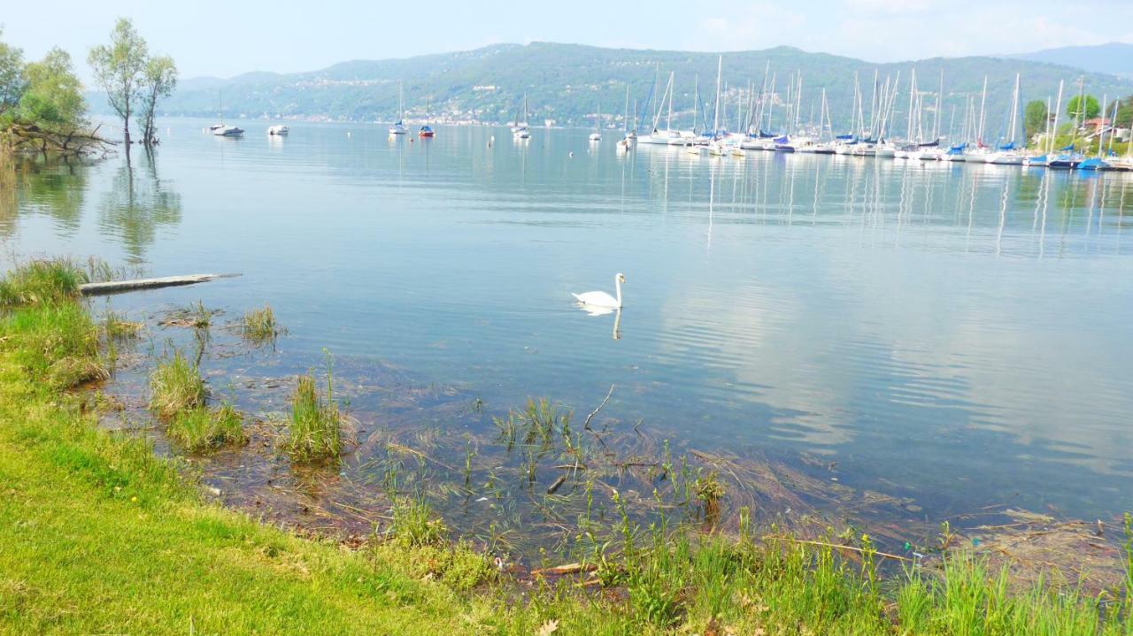 The Gulf - Maggiore