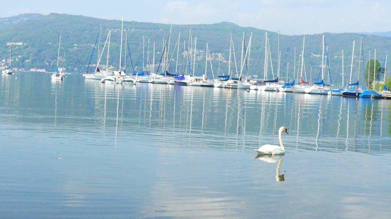 The Gulf - Maggiore